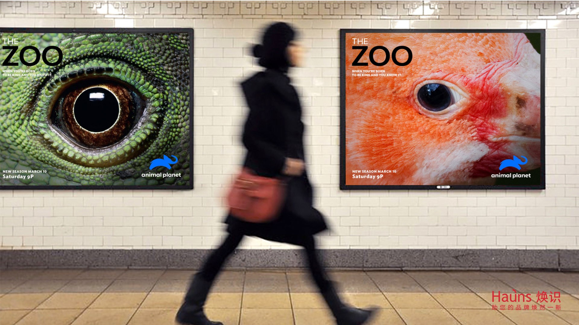 品牌海報設計 品牌形象煥新 品牌logo設計.jpg